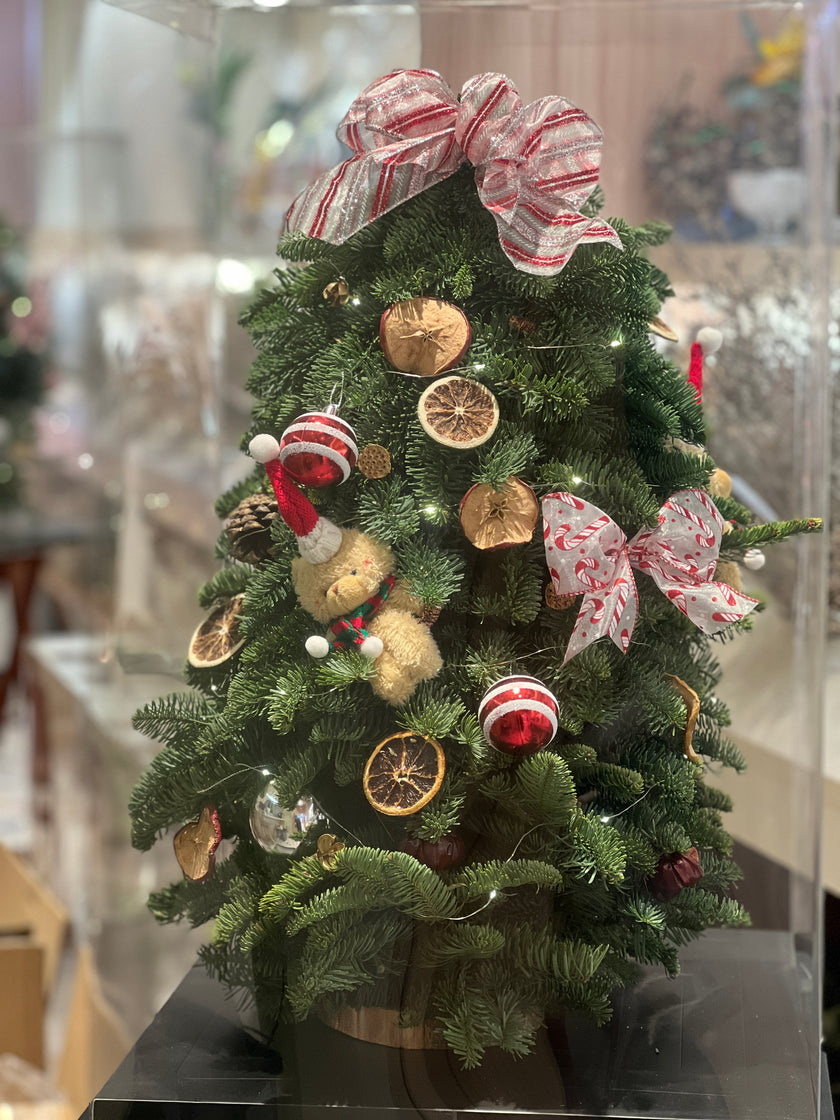 Belgian noble pine Christmas tree with decoration 60cm