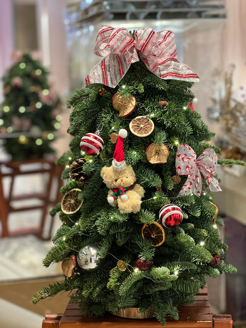 Belgian noble pine Christmas tree with decoration 60cm