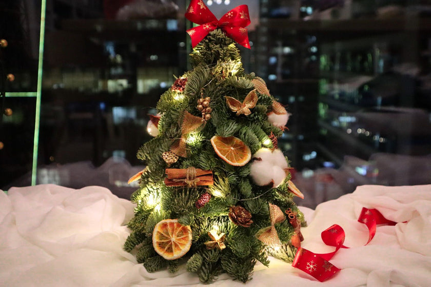 Belgian noble pine Christmas tree with decoration 40cm