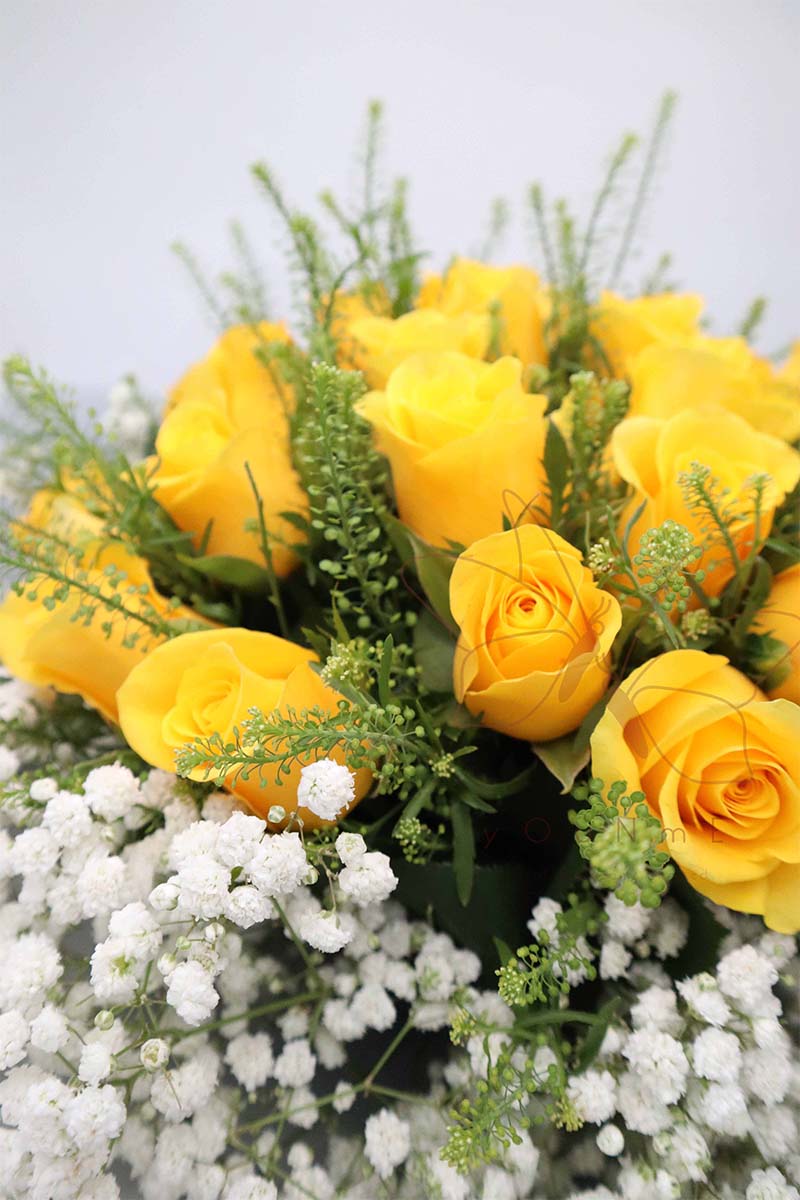 [ precious. Treasure] bouquet of 28 yellow roses