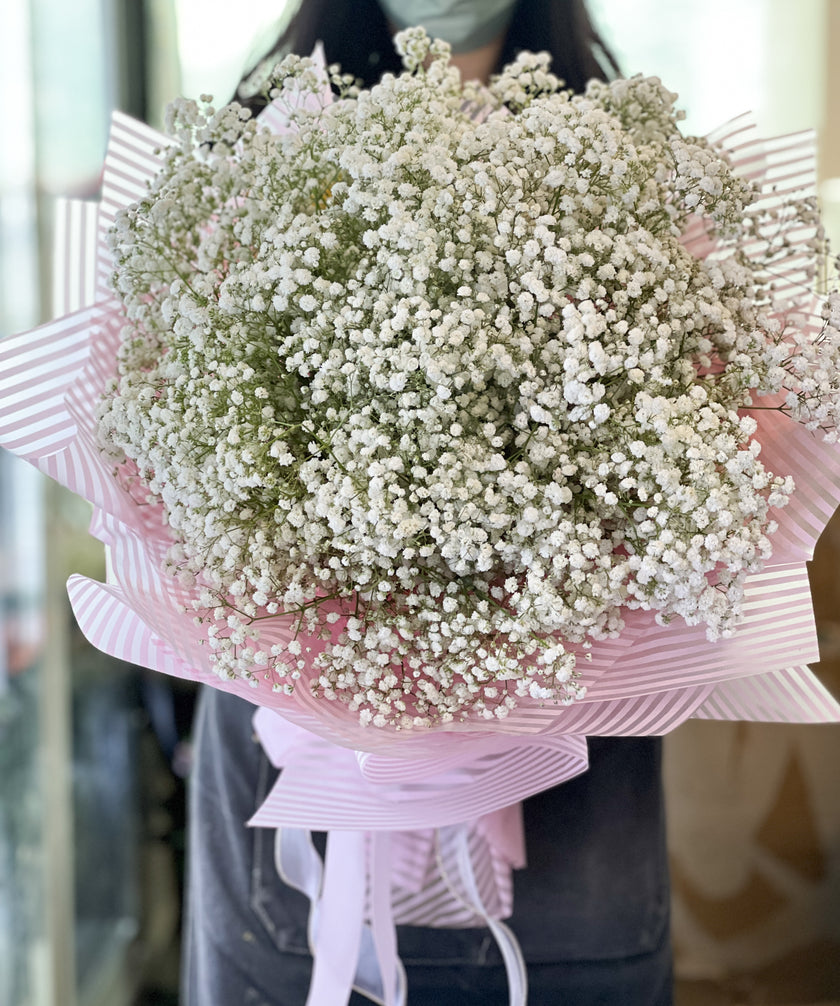 [ 星霧輕紗 ] 白色滿天星花束