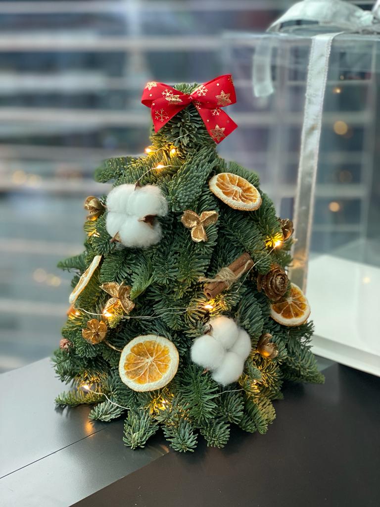 Belgian noble pine Christmas tree with decoration 50cm