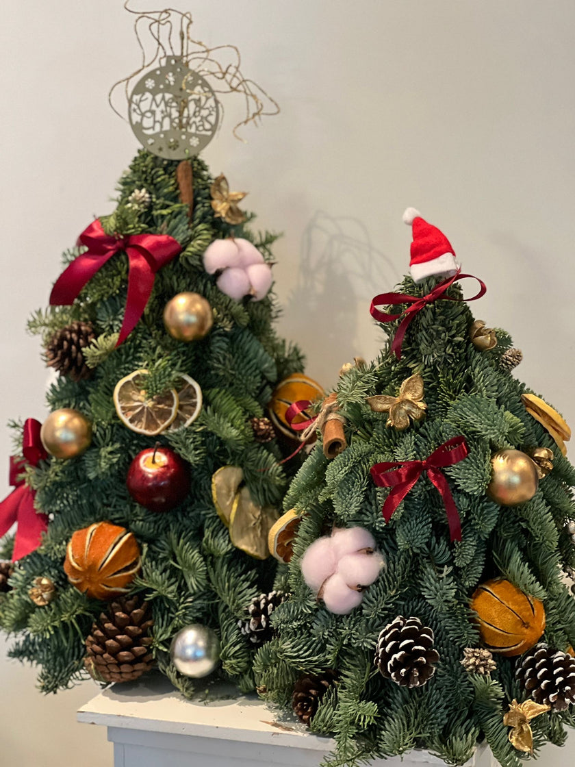 Belgian noble pine Christmas tree with decoration 40cm