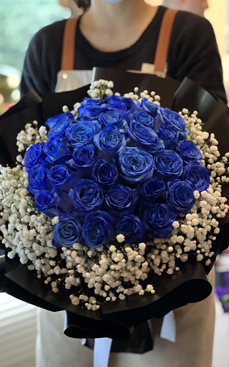 [三生三世] 33 Dutch blue rose bouquets